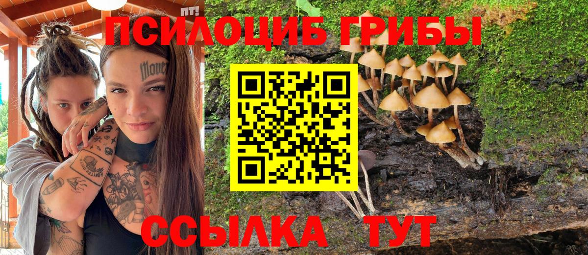 Советский  закладка  Вход с VPN  Псилоцибиновые грибы ЛСД 