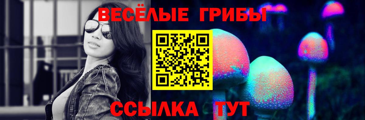 Галлюциногенные грибы прущие грибы Советский